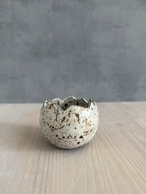 Äggskal vaktelägg