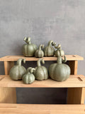 Pumpa koppargrön
