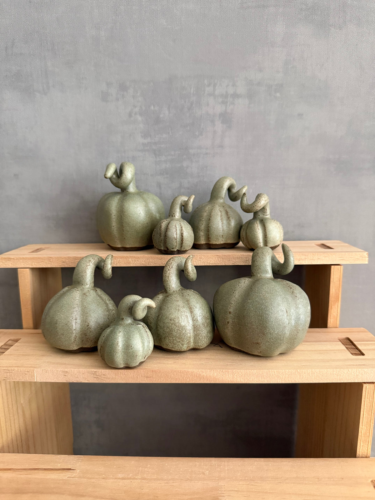Pumpa koppargrön