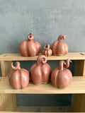 Pumpa dusty rose