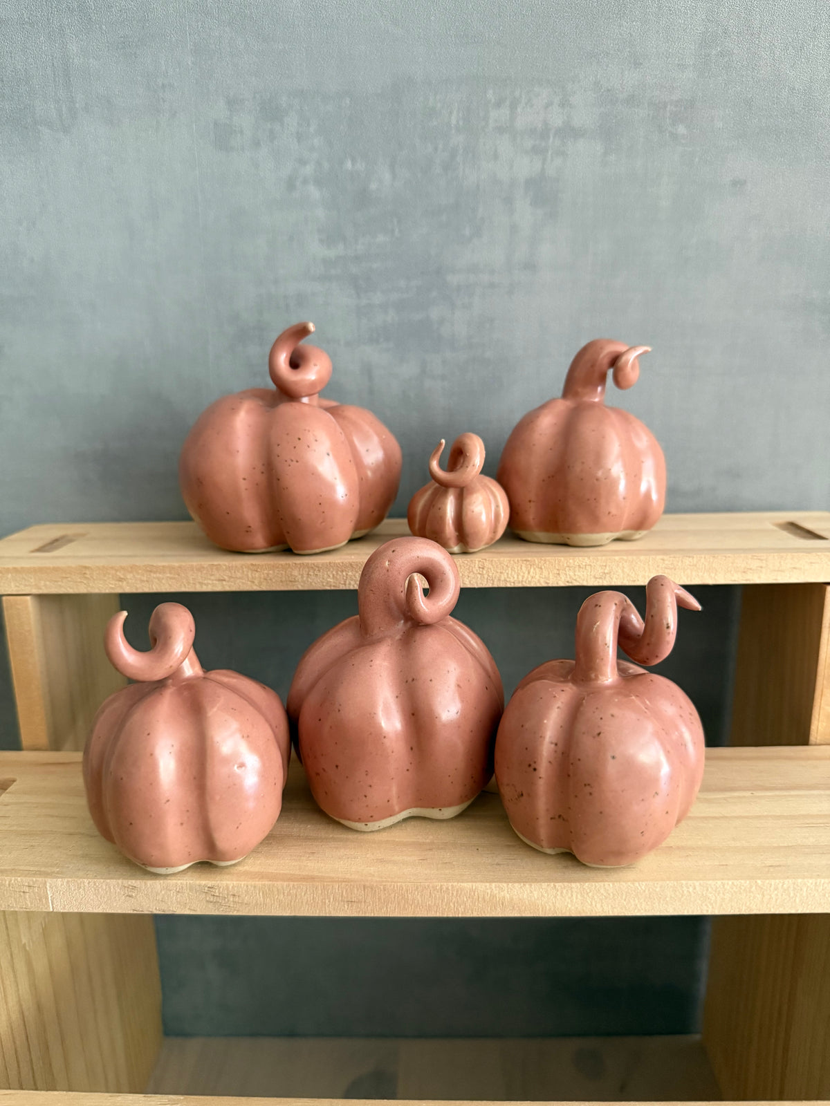 Pumpa dusty rose
